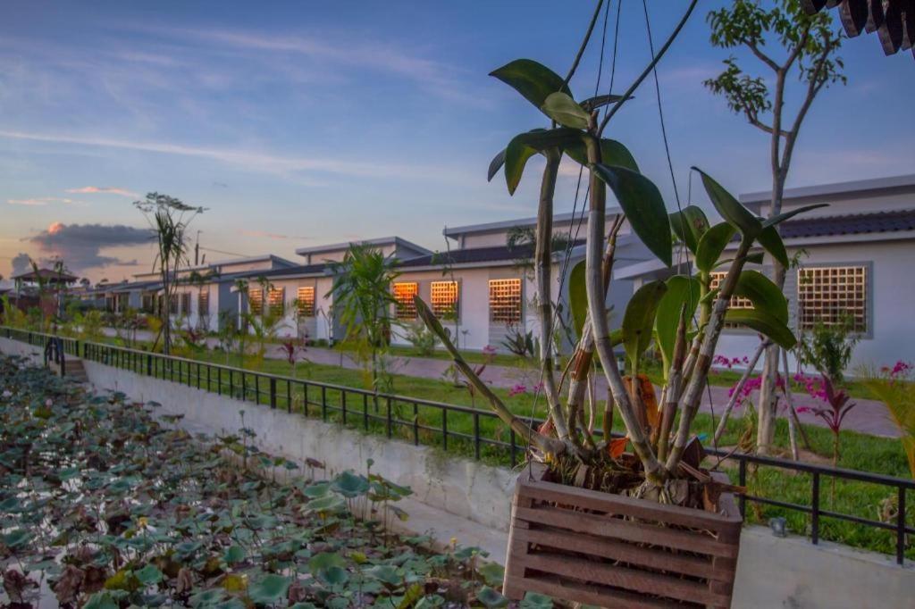 Ry'S Lotus Resort D'Angkor Siem Reap Exteriér fotografie
