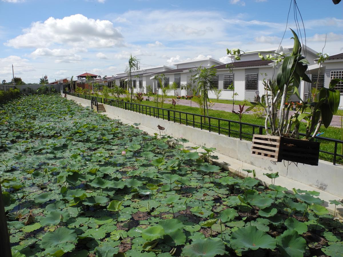 Ry'S Lotus Resort D'Angkor Siem Reap Exteriér fotografie